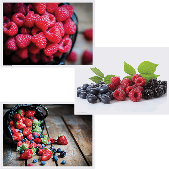 Berry Multipack Placemats 1,000 ct