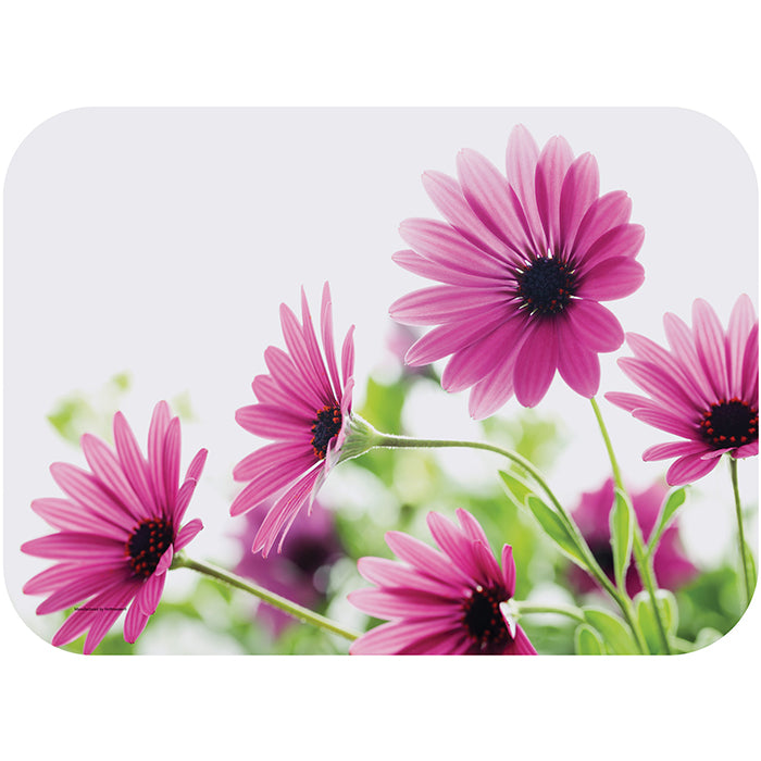 Bright Daisy Traymats 500 ct