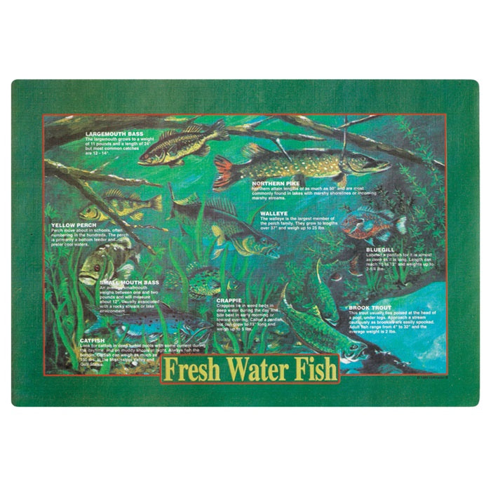 Dollar-wise Fresh Water Fish Placemat 1,000 ct