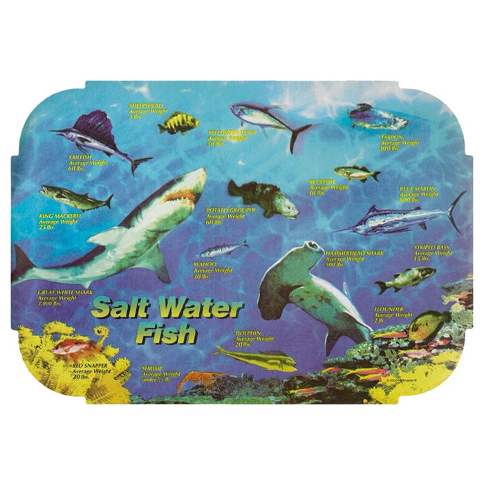 Dollar-wise Salt Water Fish Placemat 1,000 ct