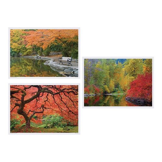 Fall Multipack Placemats 1,000 ct