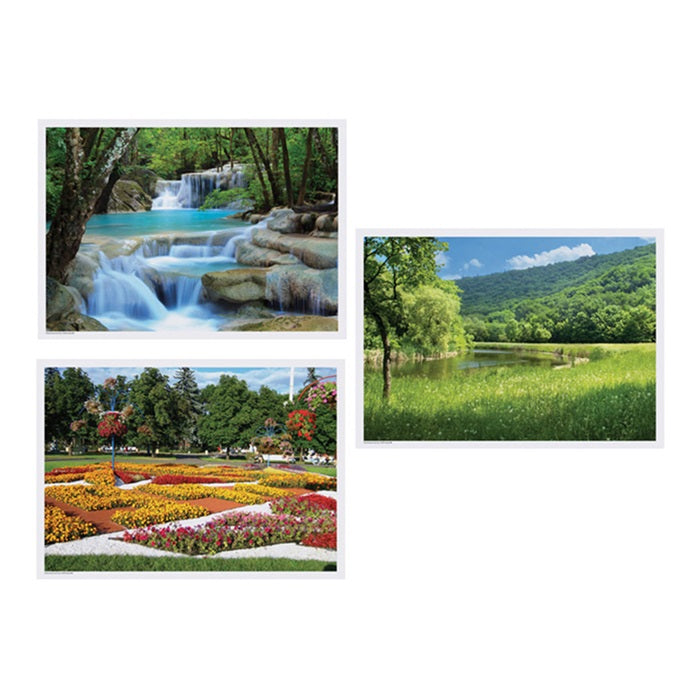 Summer Multipack Placemats 1,000 ct