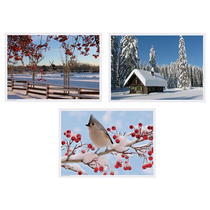 Winter Multipack Placemats 1,000 ct